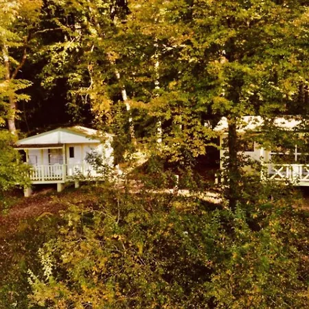 Avec Terrasse - 4 Pers. - Api-1-52-1588
