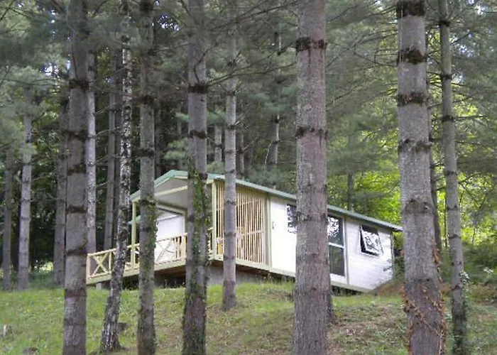 Chalet Avec Terrasse - 4 Pers. - Api-1-52-1588 Camping Saint-Girons (Ariege)